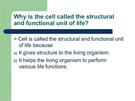 The Smallest Structural and Functional Unit