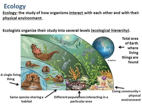 The Study of Organisms and Their Surroundings
