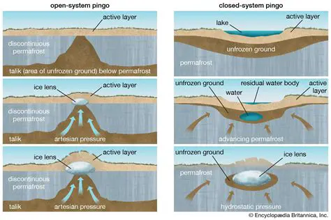 The Thawing of Ice in Polar Areas