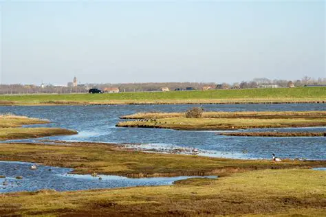 Tholen: A Gem of Zeeland Waiting to Be Discovered