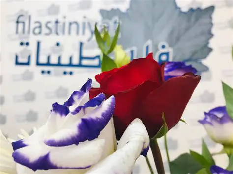 تلفزيون الفجر: نافذة إعلامية فلسطينية نحو المستقبل