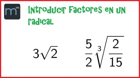 Tipos de factores dentro del radical