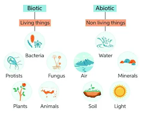 Types of Biotic Components