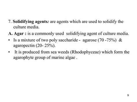 Types of Solidifying Agents