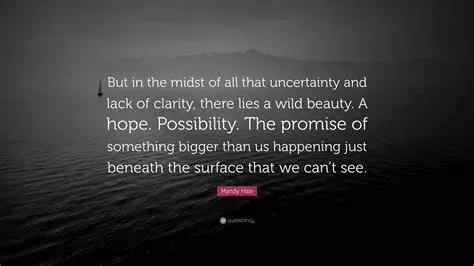 Uncertainty and Lack of Clarity