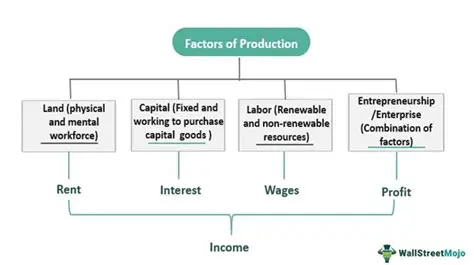 Understanding Assets and Production Factors in Business