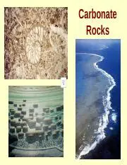 Understanding Carbonate Rocks