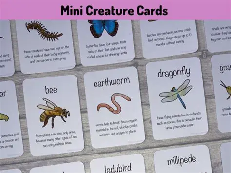Understanding Creature Cards