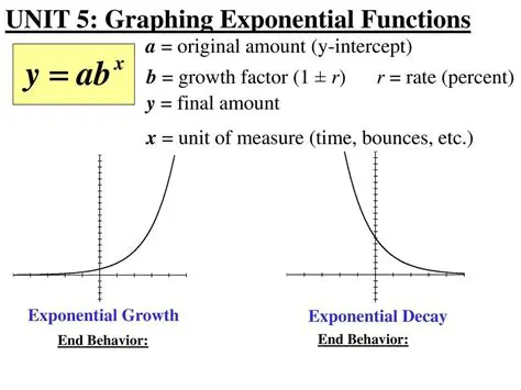 Understanding Exponential Behavior