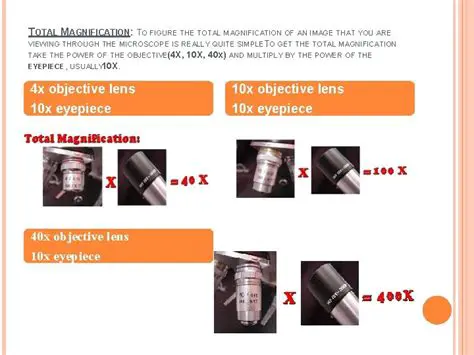 Understanding Magnification