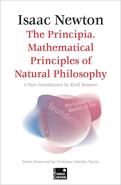 Understanding mathematical principles
