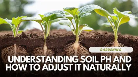 Understanding pH and Its Importance