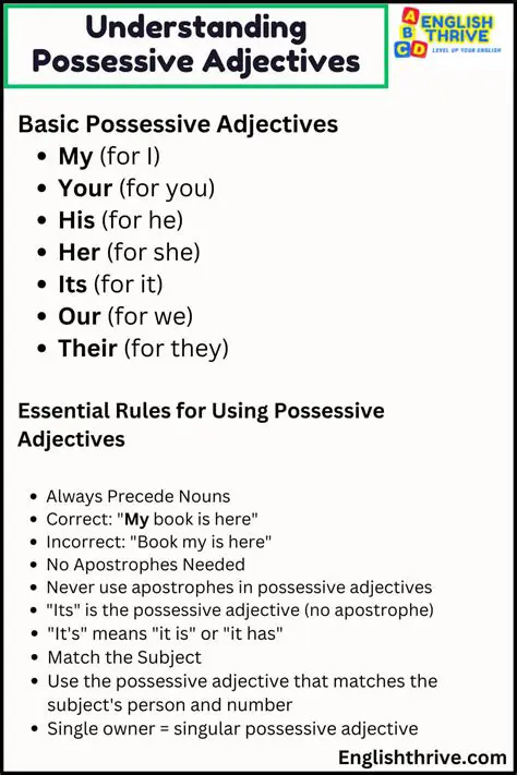 Understanding Possessive Adjectives