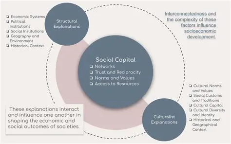 Understanding Social Capital in the Context of STM