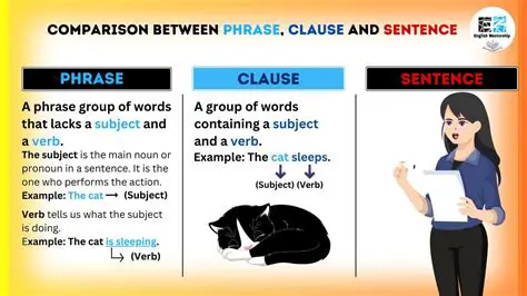Understanding the Basics of Phrases and Clauses