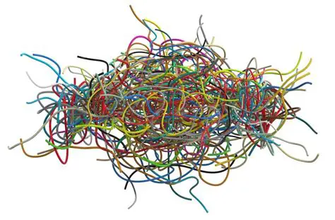 Understanding the complexity of life