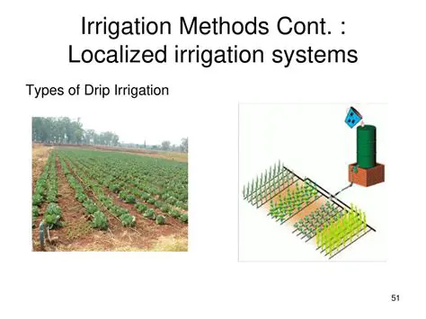 Understanding the Complexity of Localized Irrigation Systems