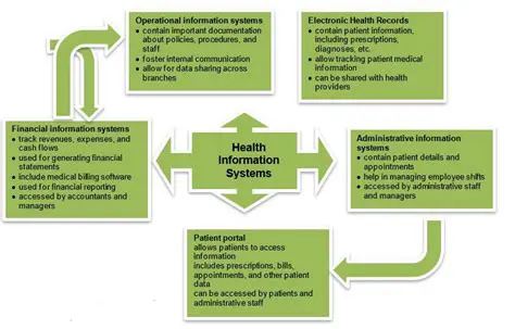 Understanding the Components of Health