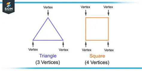 Understanding the Concept of a Vertex