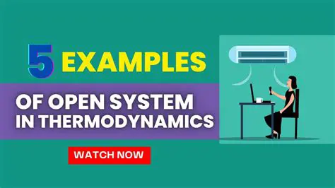Understanding the Concept of Open Systems