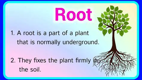 Understanding the Concept of Roots and Factors