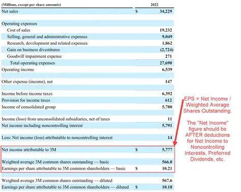 Understanding the Earnings Section