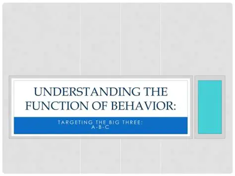Understanding the Function