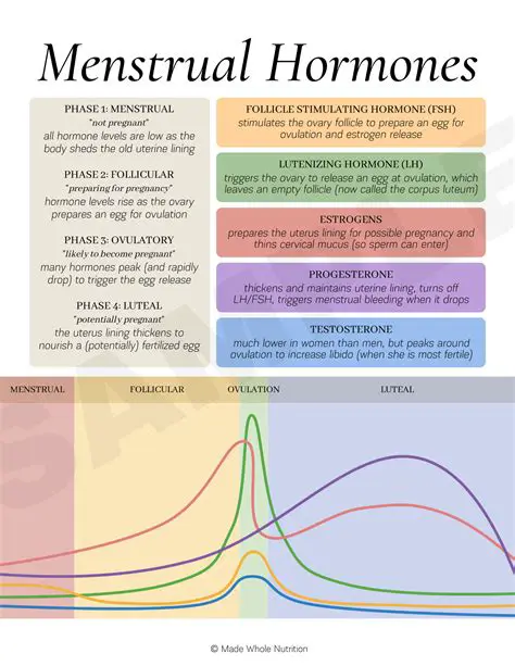 Understanding the Importance of Menstrual Patterns