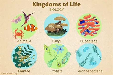 Understanding the Kingdoms of Life