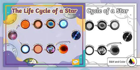 Understanding the Life Cycle of a Star