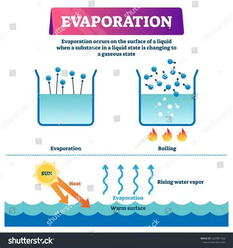 Understanding the Process of Evaporation