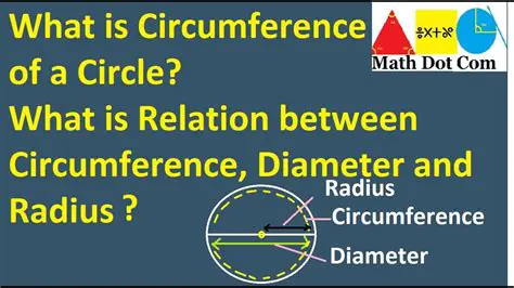 Understanding the Relationship Between Circumference and Radius