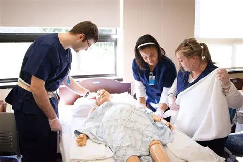 Understanding the Role of Organizations in Certified Nurse Aide Development