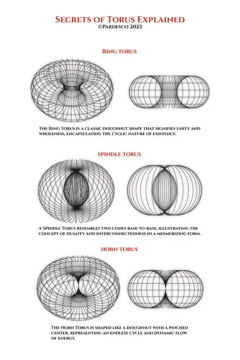 Understanding the Torus Properties Panel