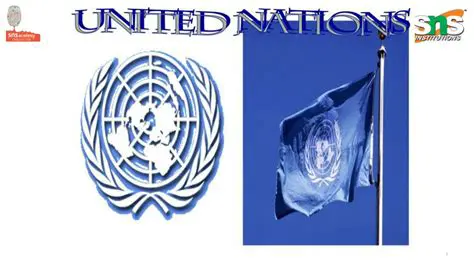 Understanding the United Nations