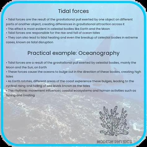 Understanding Tidal Forces