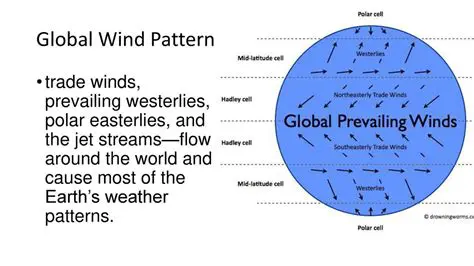 Understanding Wind Patterns