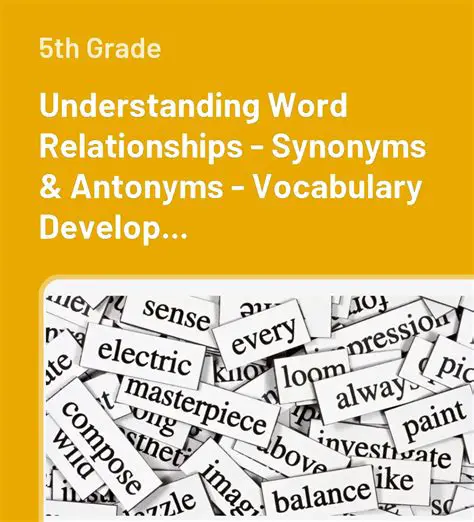 Understanding Word Relationships