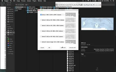 Update the Bioformats plugin