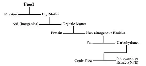 Use of Tanjung fruit flour as an additional ingredient in animal feed