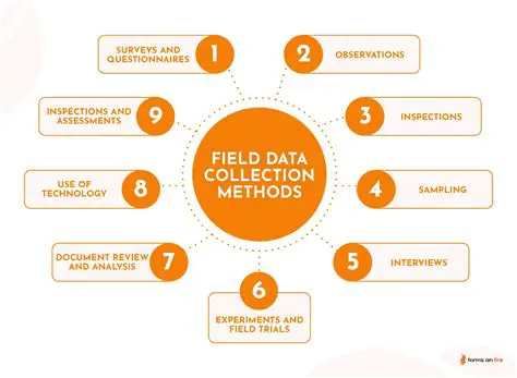 Use scientific tools to collect and organize data