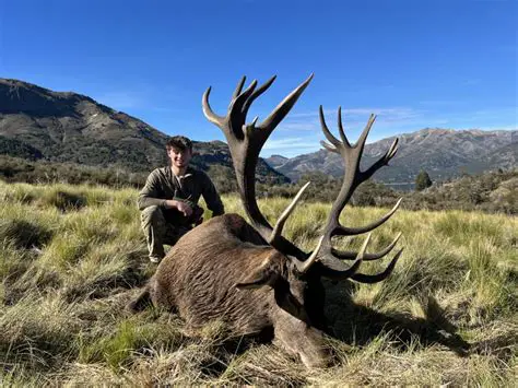 Variety of Hunting Options