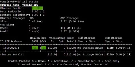 Verify the primary mgmtd node status