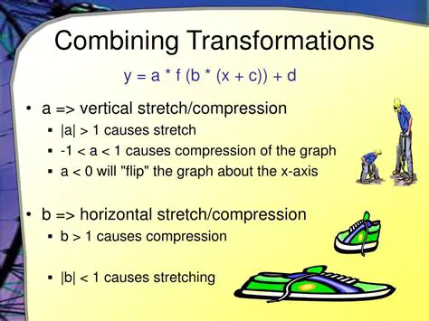 Vertical Stretching and Compression