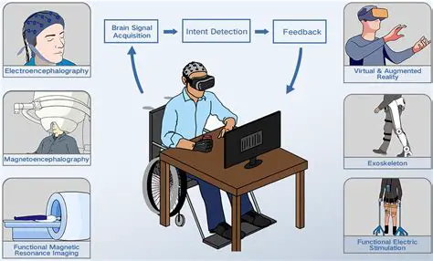 Visual Feedback and Dynamic Modules