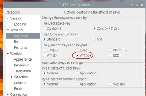 VT100 Emulation Limitations