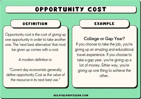 Why Opportunity Costs Matter