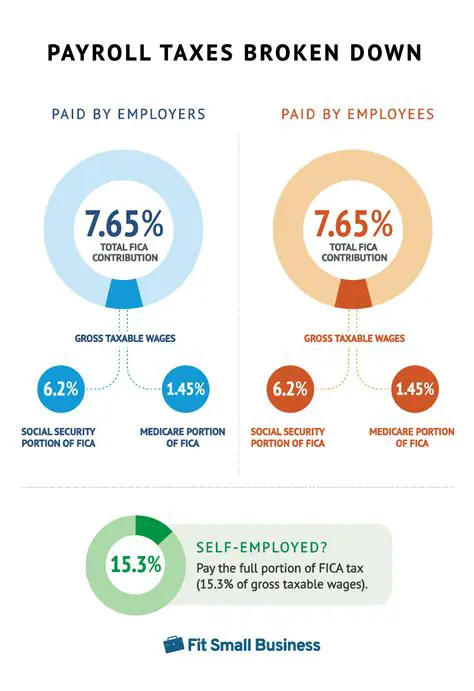 Why Payroll Taxes are Paid Throughout the Year