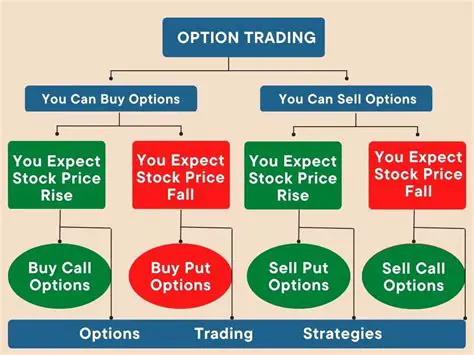 Why the Correct Option Works